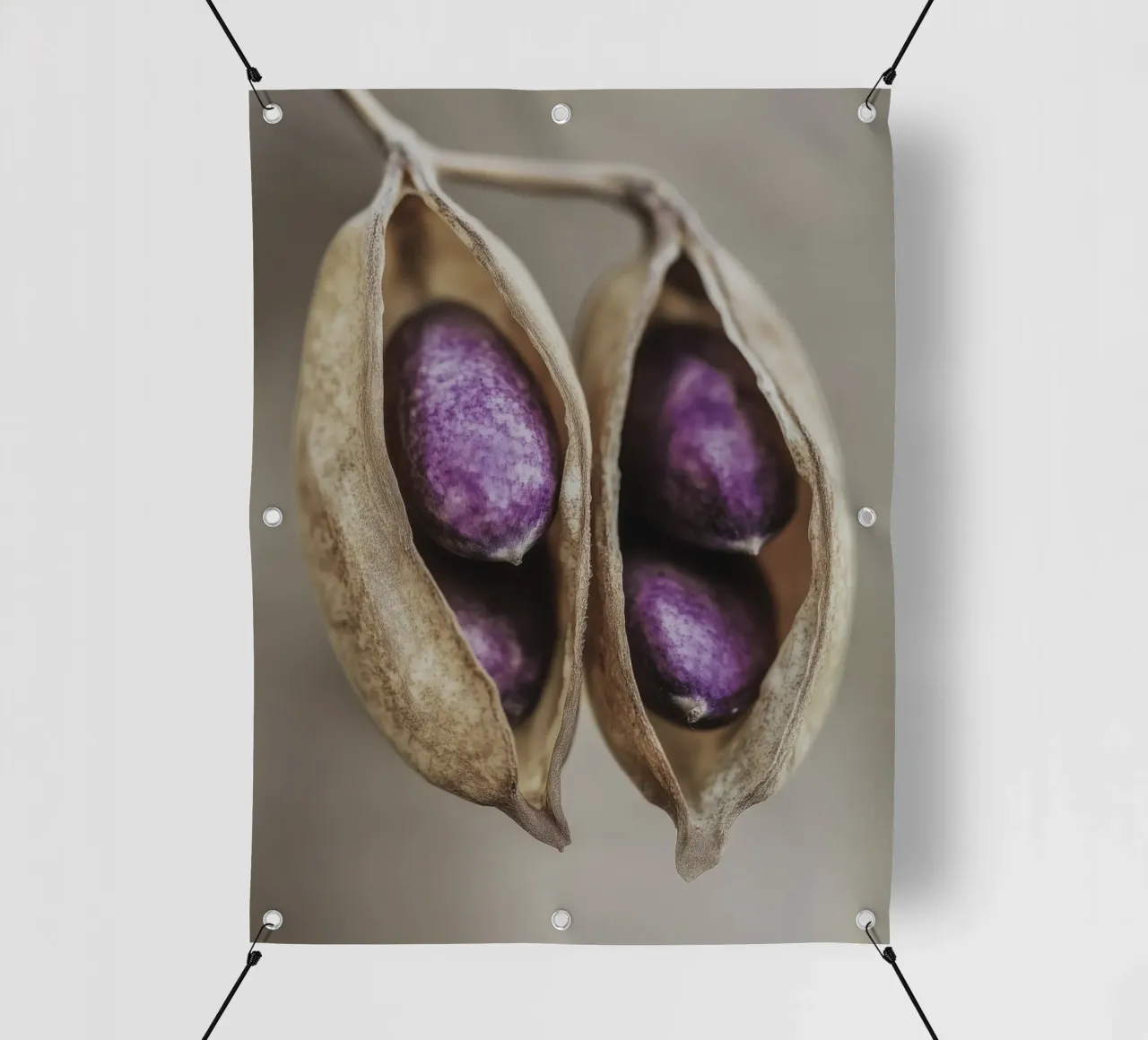 Purple Peas No 2 telo in pvc da treechild