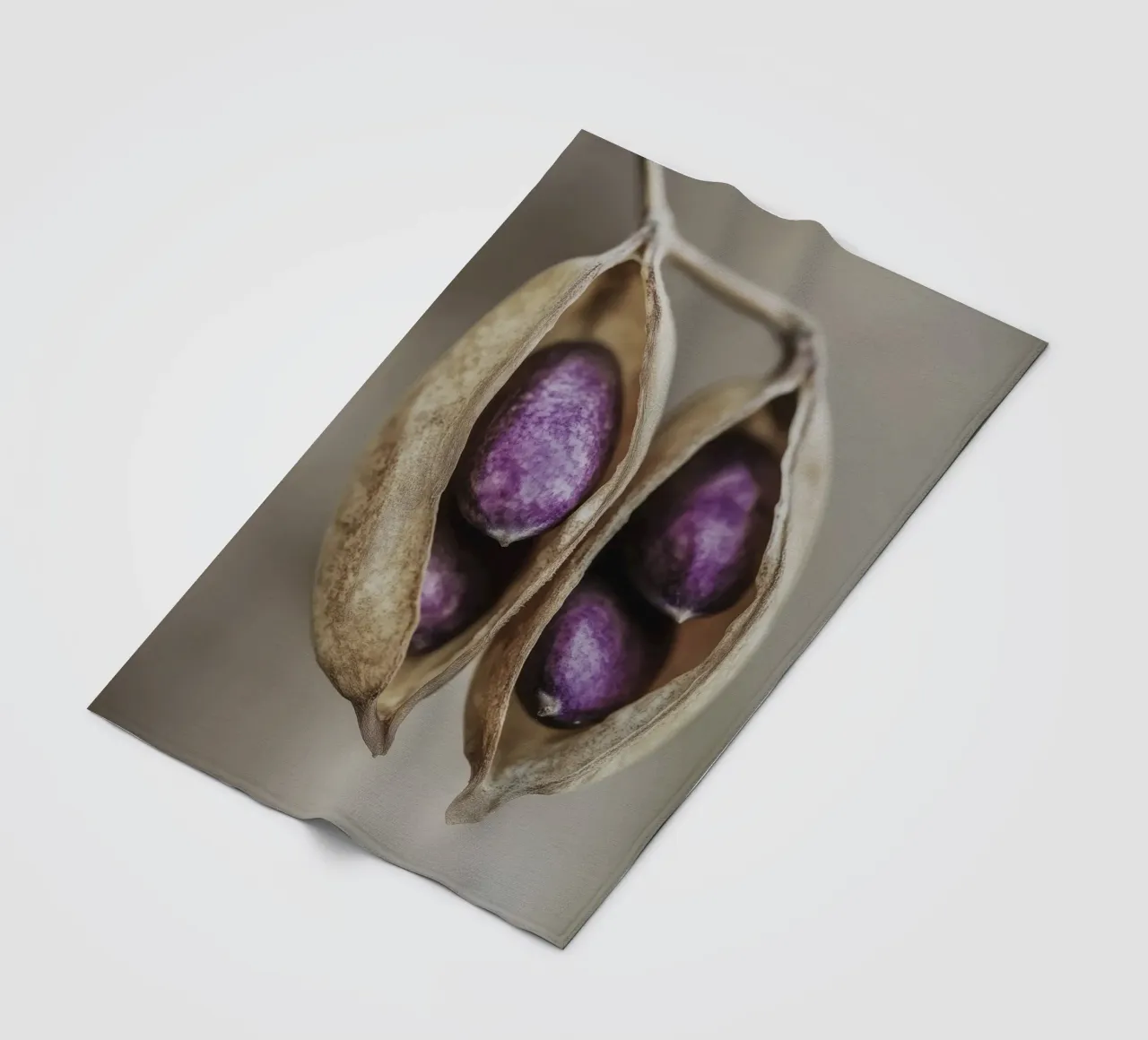 Purple Peas No 2 coperta in pile da treechild