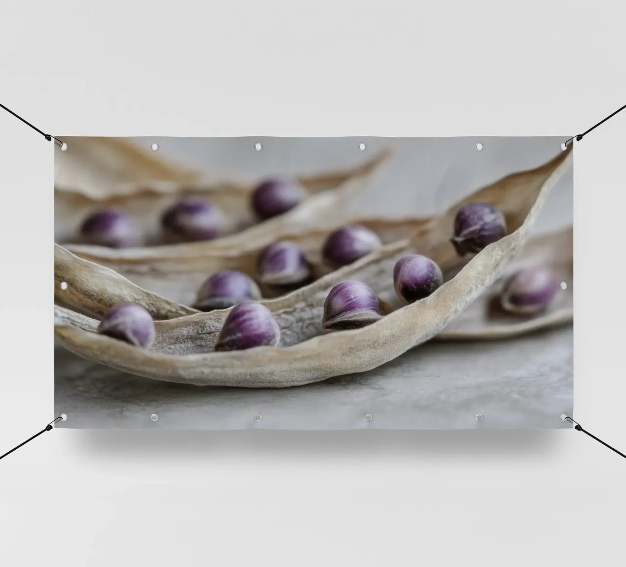 Purple Peas No 3 telo in pvc da treechild