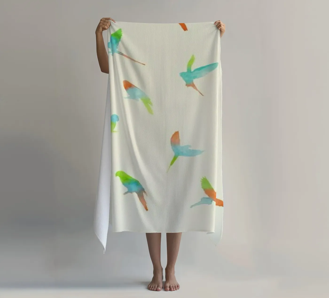 Papagei telo mare da Florent Bodart