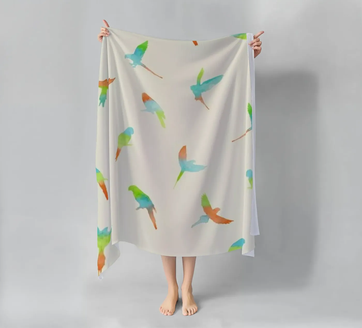 Papagei telo mare da Florent Bodart