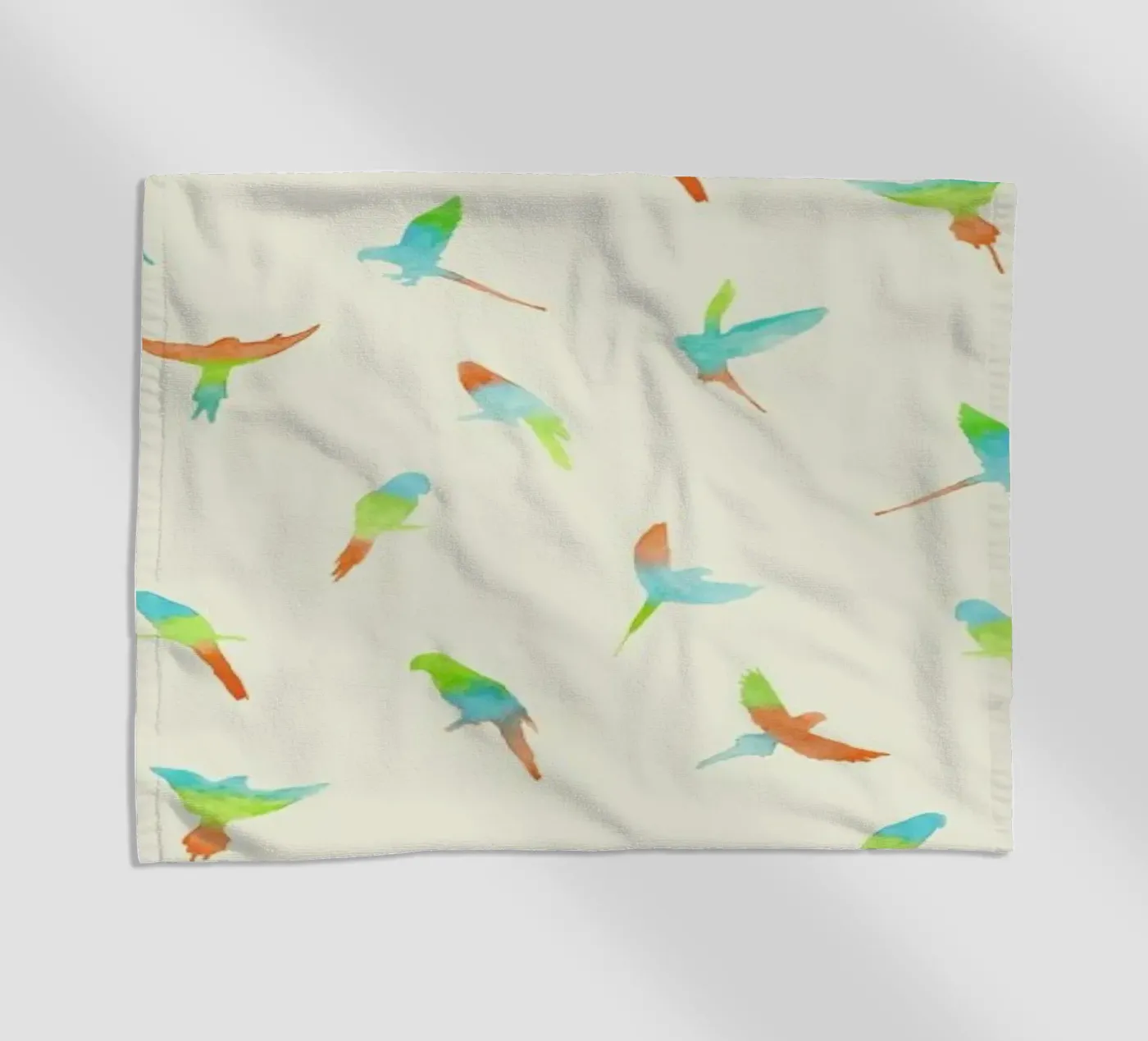 Papagei telo mare da Florent Bodart