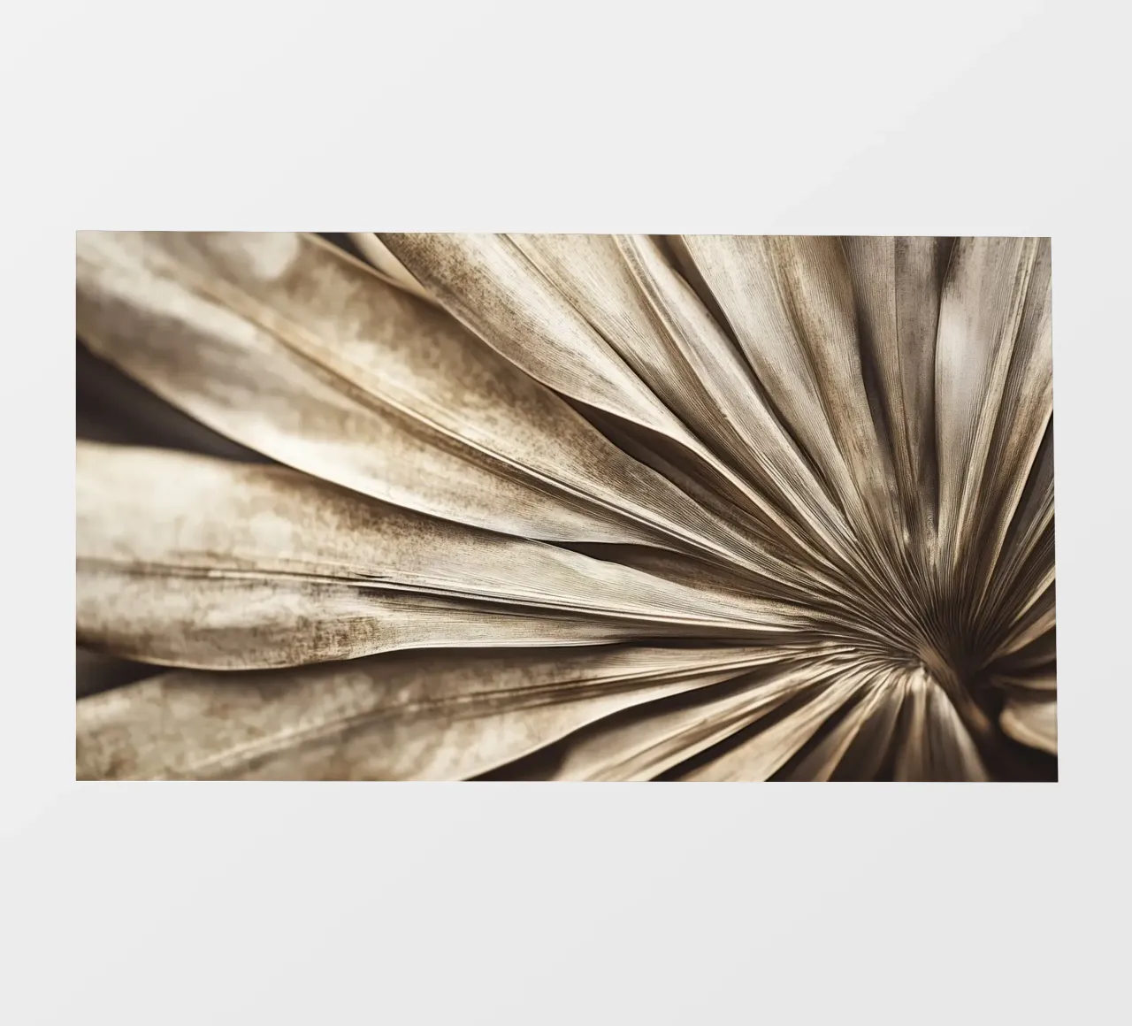 Dry palm Leaf No 2 pellicola backlit da treechild