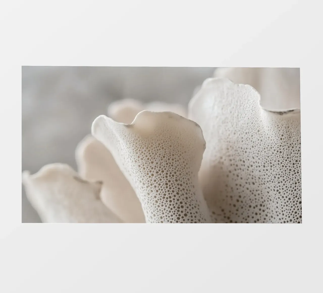 Sponge Coral telo in pvc da treechild