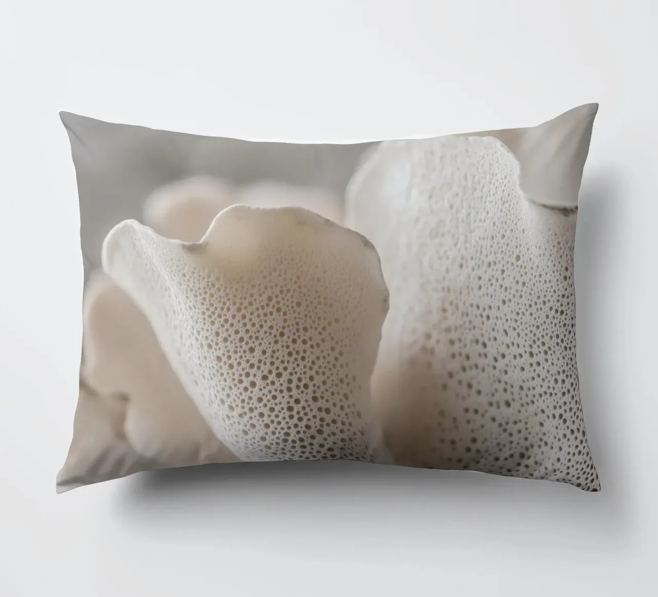 Sponge Coral cuscino da treechild