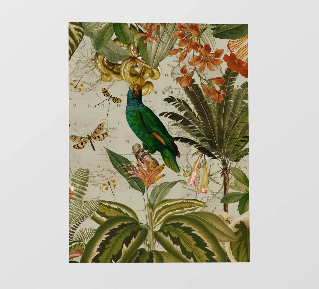 Pappagallo esotico colorato e nostalgico in una giungla tropicale 2 telo in pvc da Vintage World - Uta Naumann