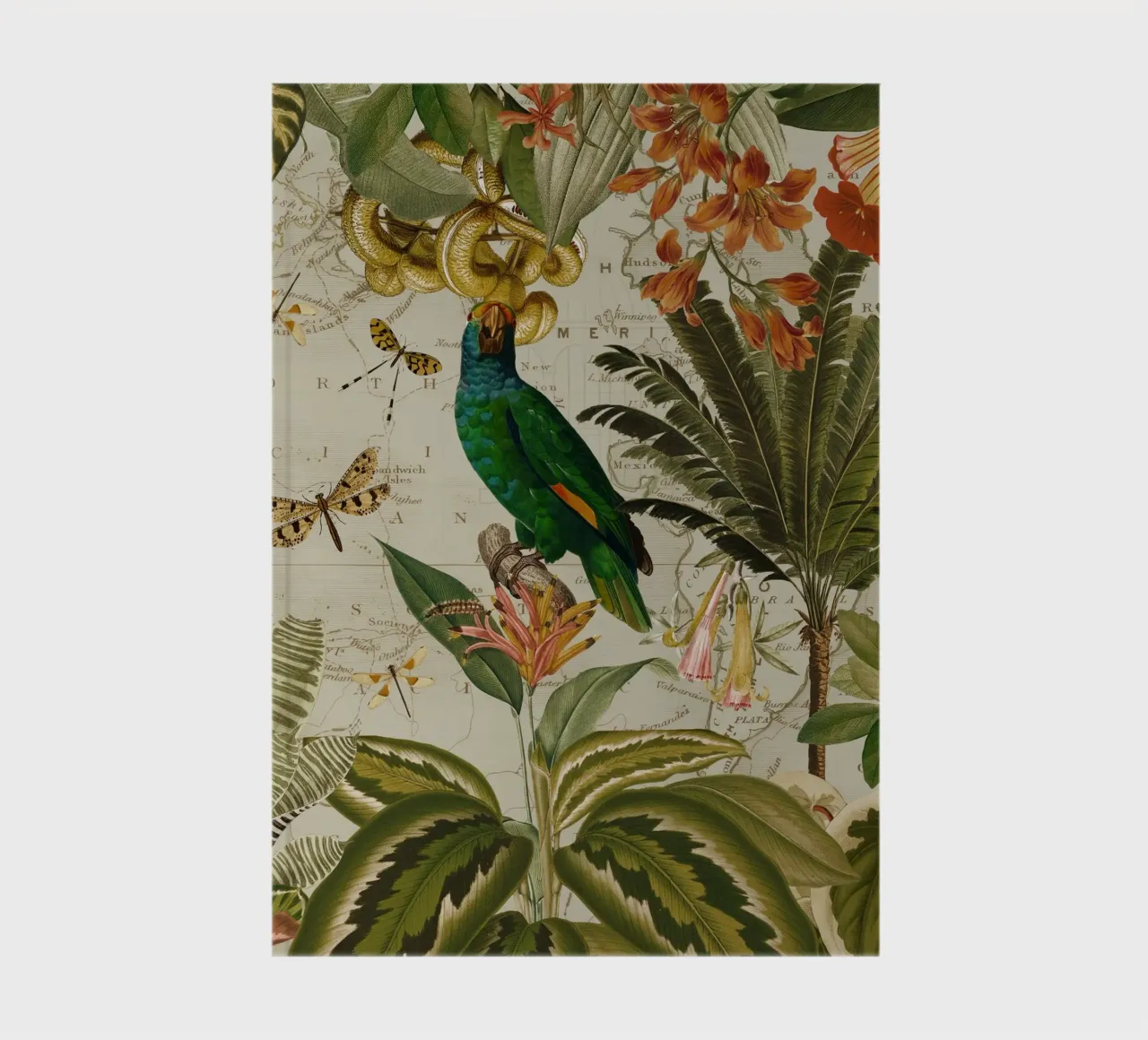Pappagallo esotico colorato e nostalgico in una giungla tropicale 2 diario da Vintage World - Uta Naumann
