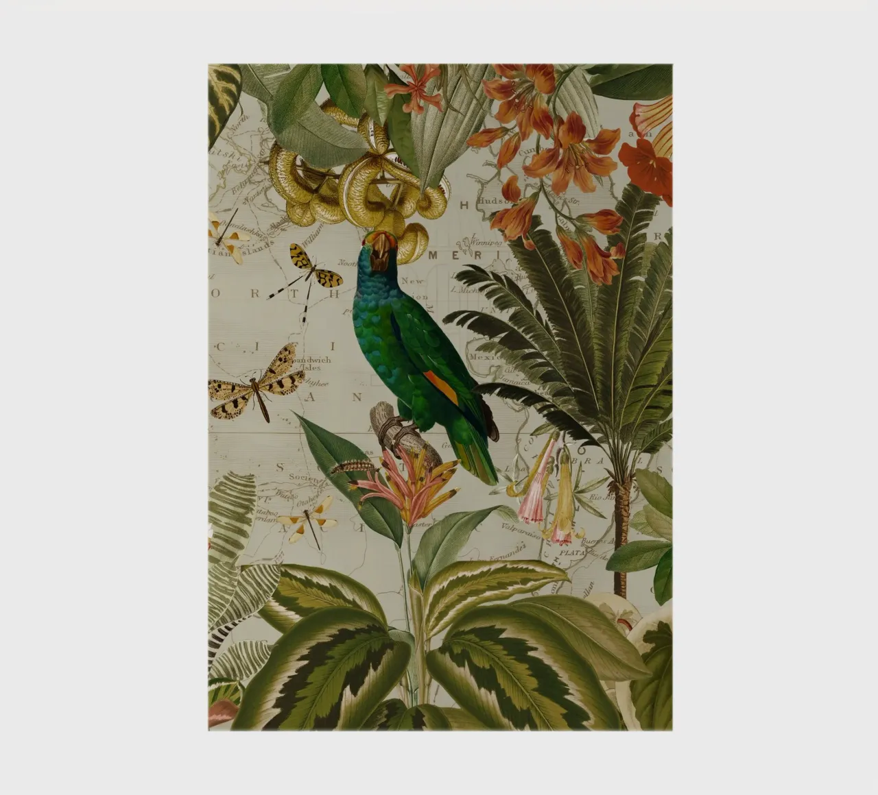 Pappagallo esotico colorato e nostalgico in una giungla tropicale 2 diario da Vintage World - Uta Naumann