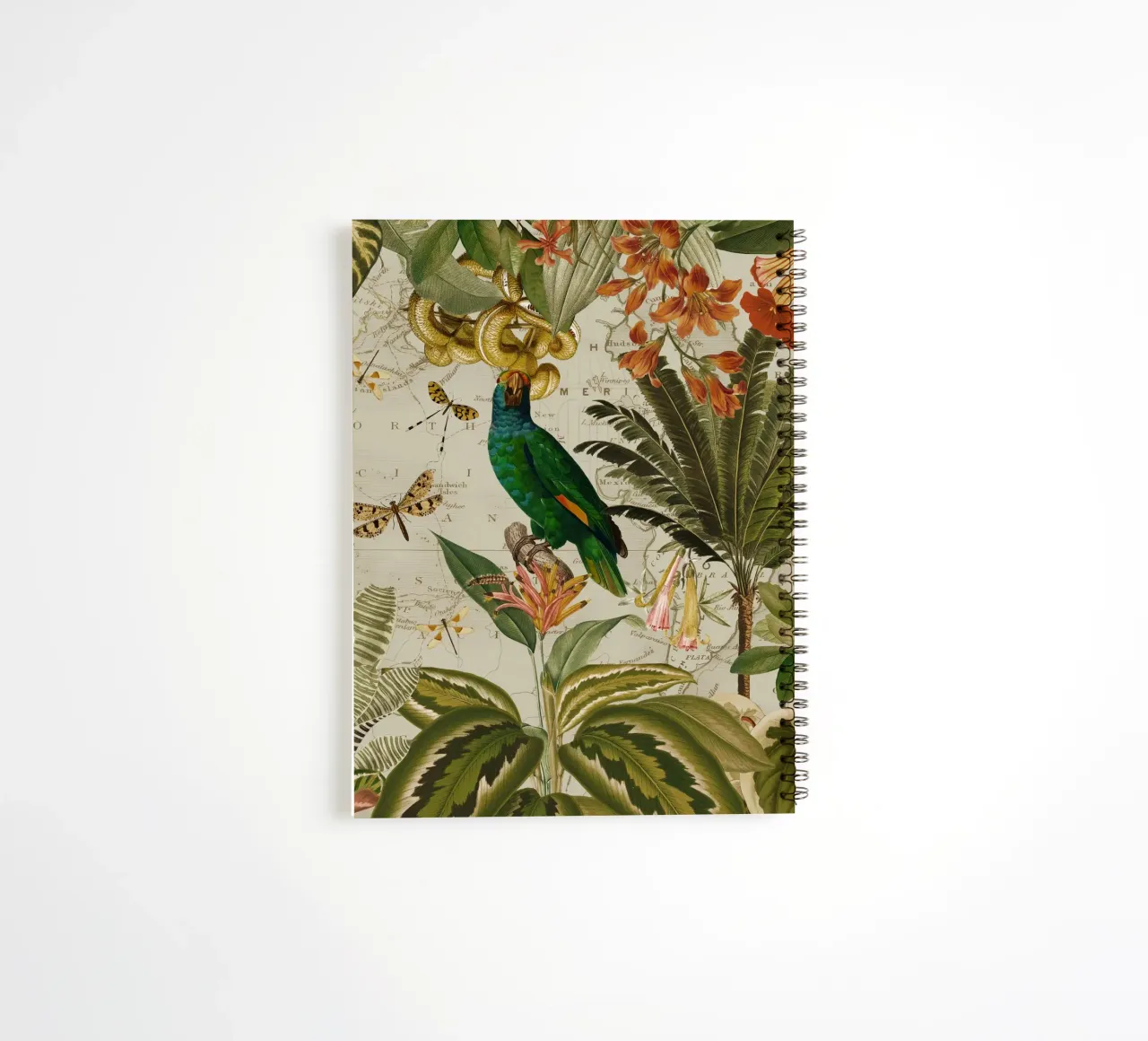 Pappagallo esotico colorato e nostalgico in una giungla tropicale 2 diario ad anelli da Vintage World - Uta Naumann