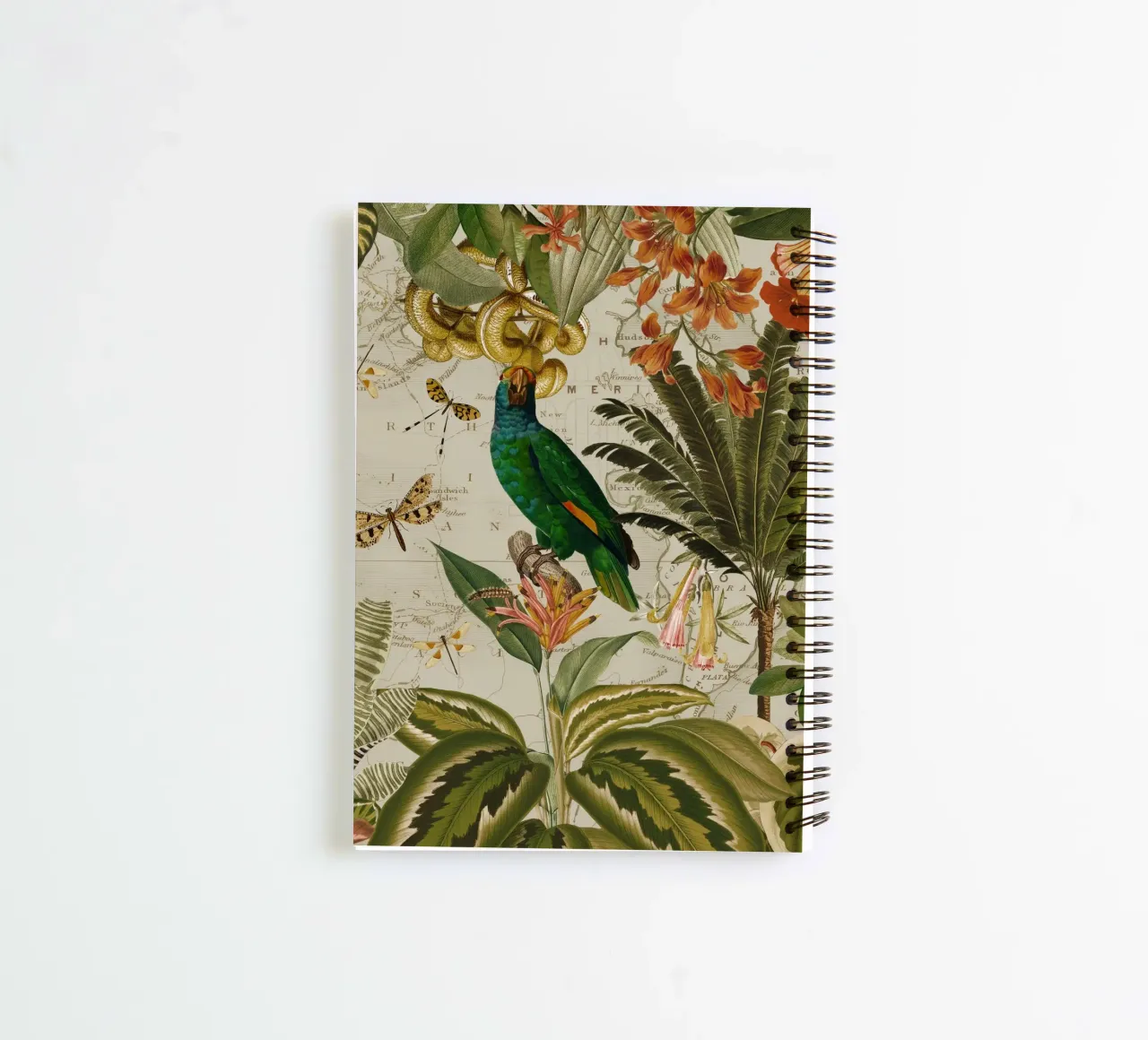 Pappagallo esotico colorato e nostalgico in una giungla tropicale 2 diario ad anelli da Vintage World - Uta Naumann