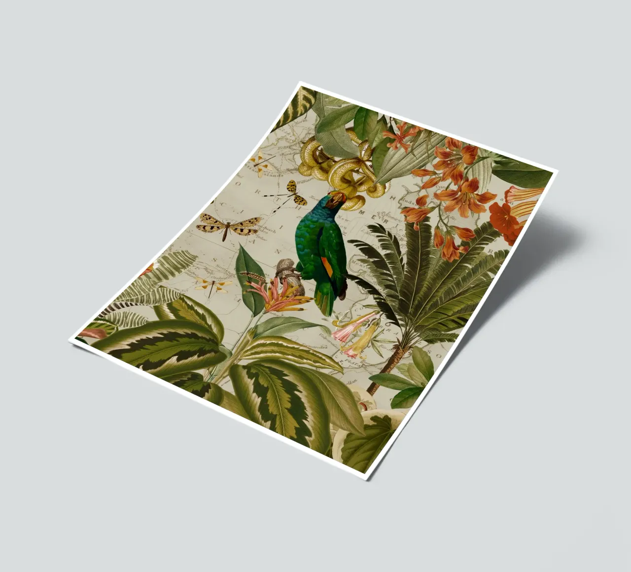Pappagallo esotico colorato e nostalgico in una giungla tropicale 2 foglio adesivo da Vintage World - Uta Naumann