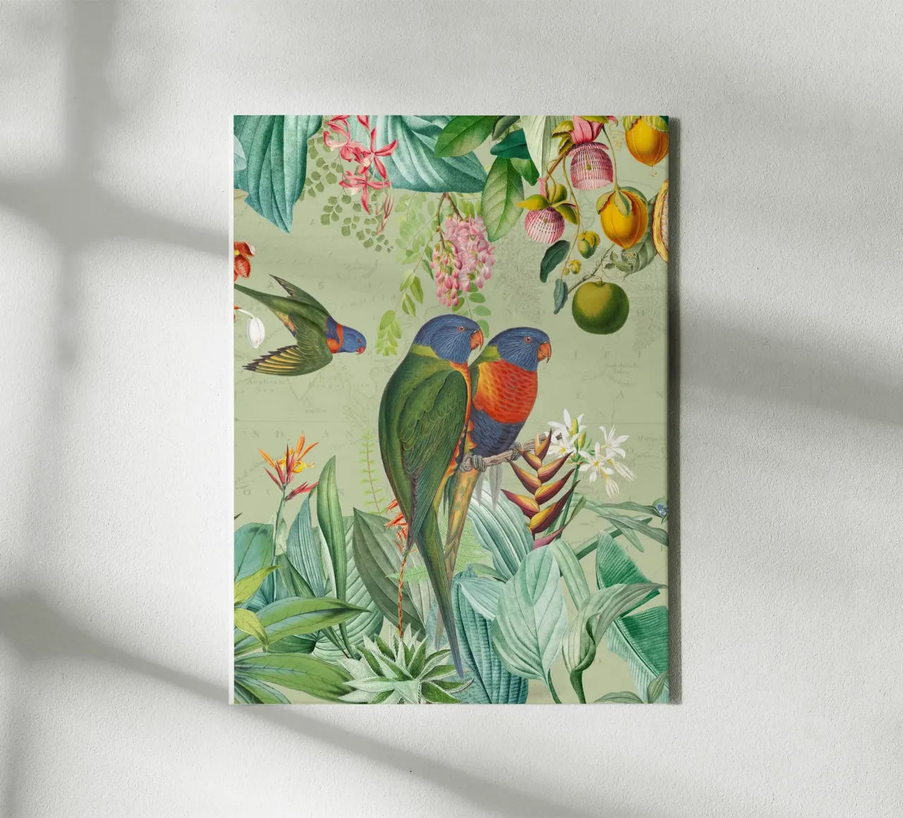 Pavoni colorati nella giungla tropicale tela con Cornice a cassetta da Vintage World - Uta Naumann