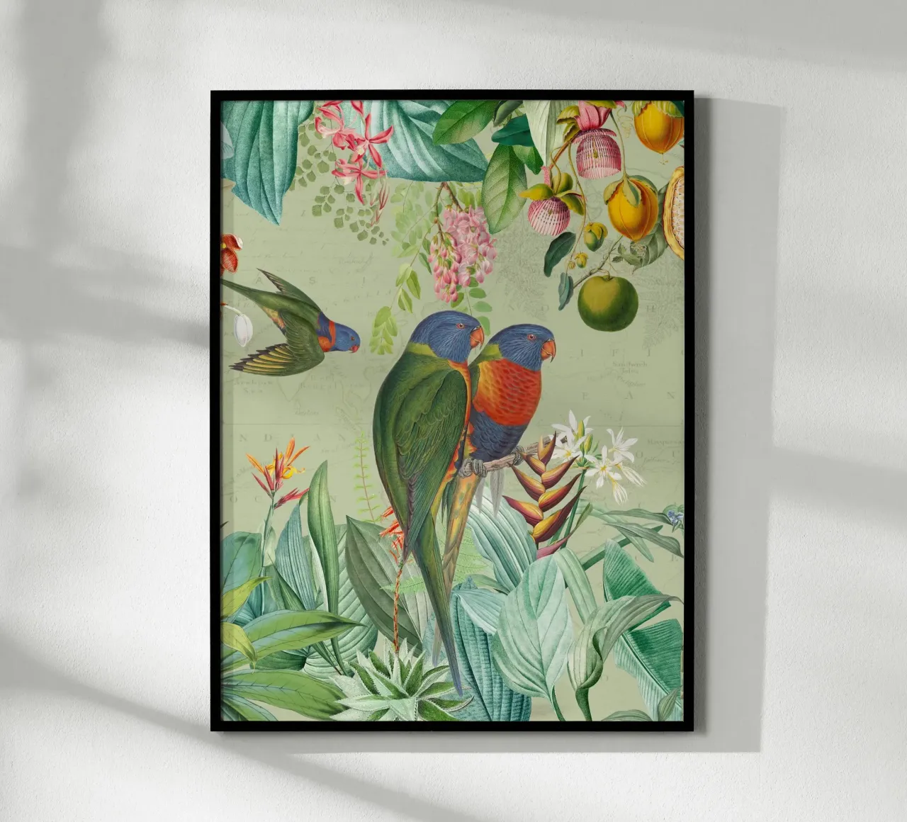 Pavoni colorati nella giungla tropicale carta hahnemühle da Vintage World - Uta Naumann