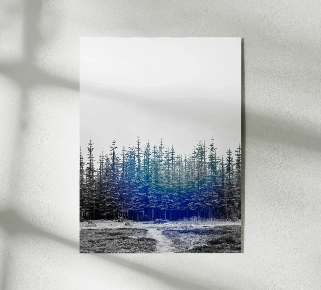 Rumore bianco plexiglass da Soulshots