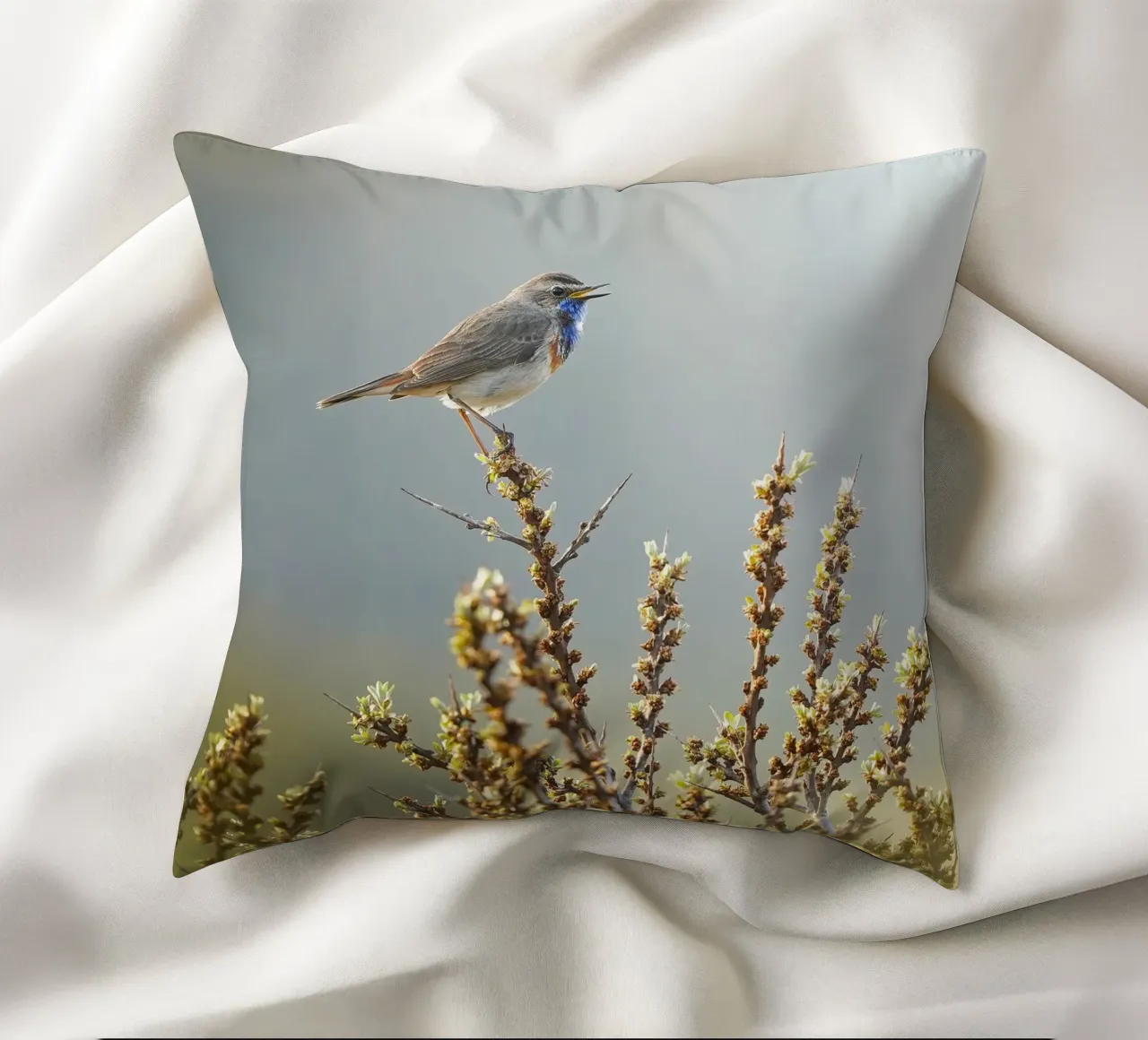 Gatto blu cuscino da Tom's Wildlife