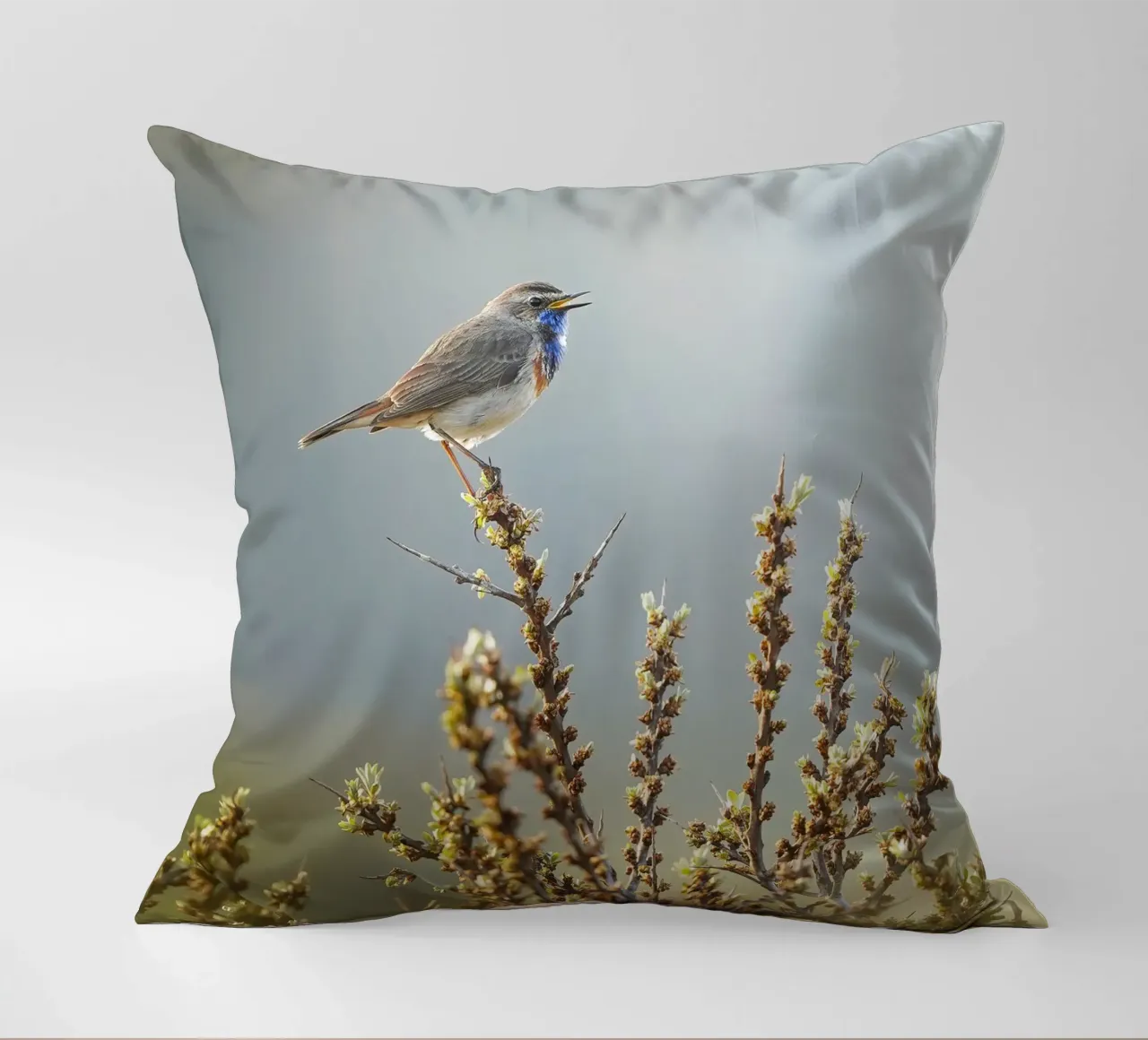 Gatto blu cuscino da Tom's Wildlife