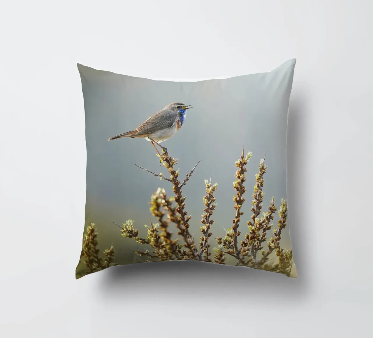 Gatto blu cuscino da Tom's Wildlife