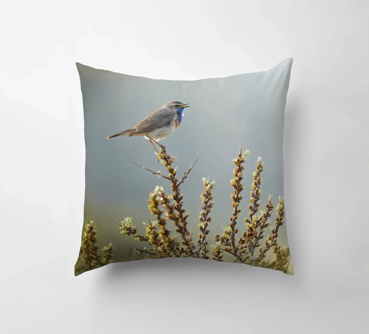 Gatto blu cuscino da Tom's Wildlife