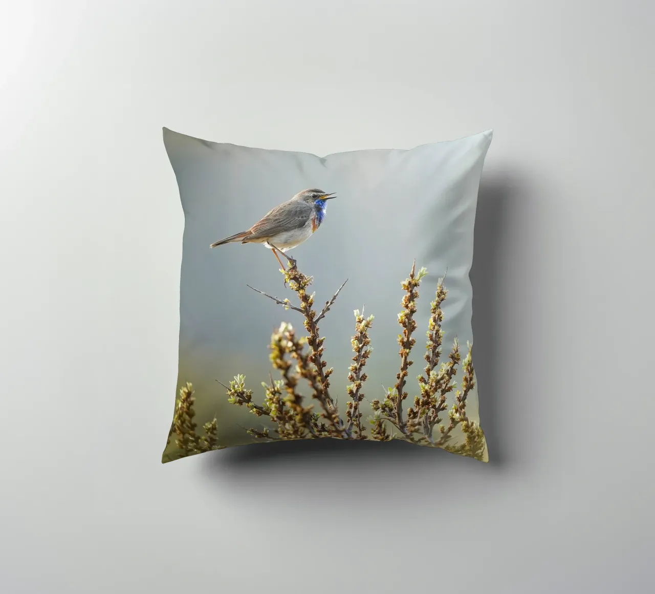 Gatto blu cuscino da Tom's Wildlife