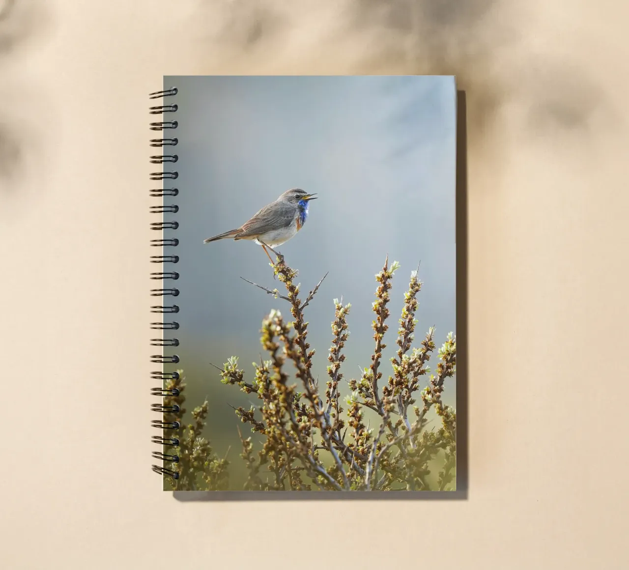 Blaukehlchen Ringbuch von Tom's Wildlife