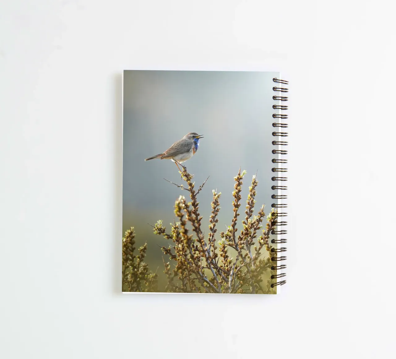Blaukehlchen Ringbuch von Tom's Wildlife
