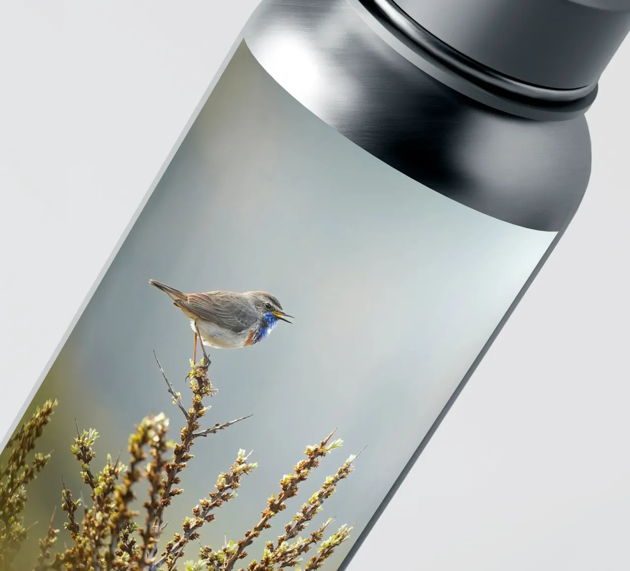 Bluethroat sticker by Tom's Wildlife