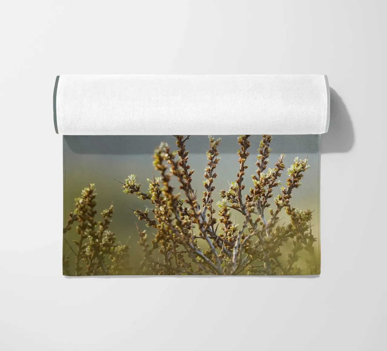 Bluethroat beach towel by Tom's Wildlife