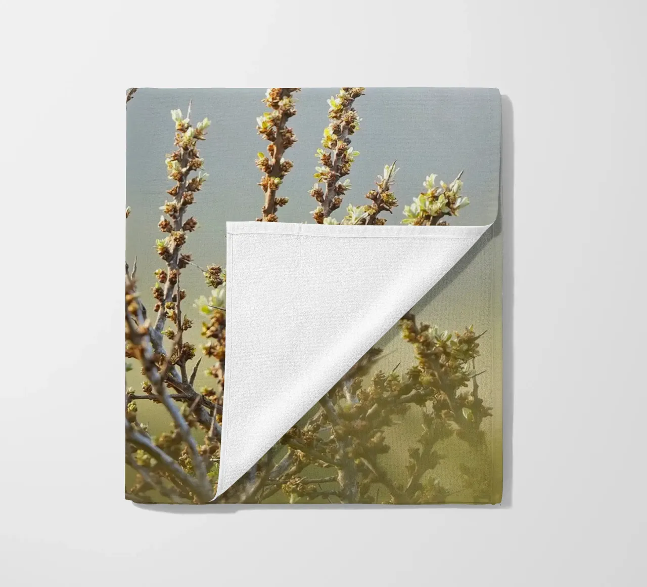 Bluethroat beach towel by Tom's Wildlife