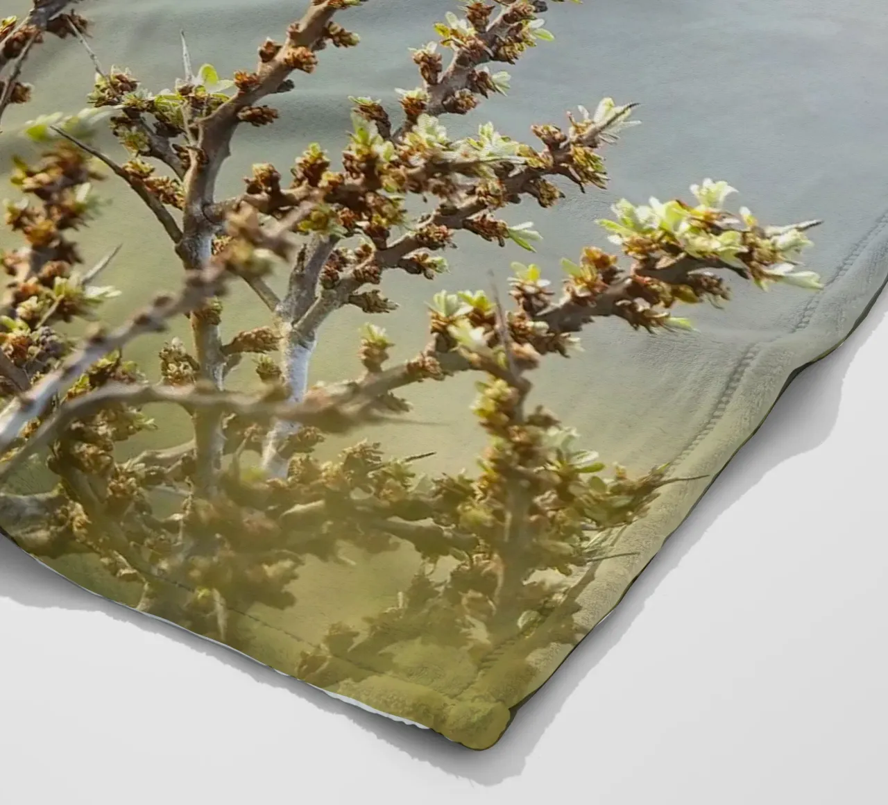Bluethroat fleece blanket by Tom's Wildlife