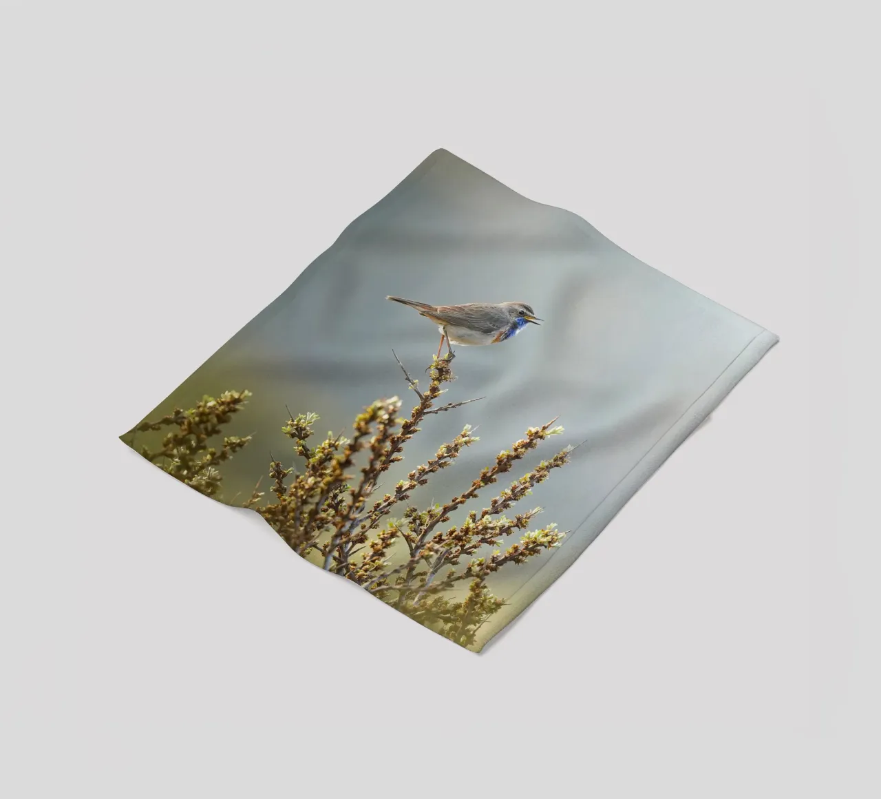 Bluethroat fleece blanket by Tom's Wildlife