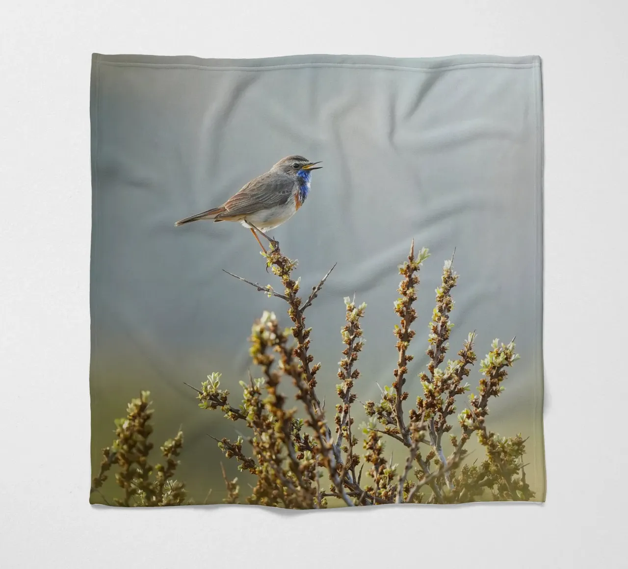 Bluethroat fleece blanket by Tom's Wildlife