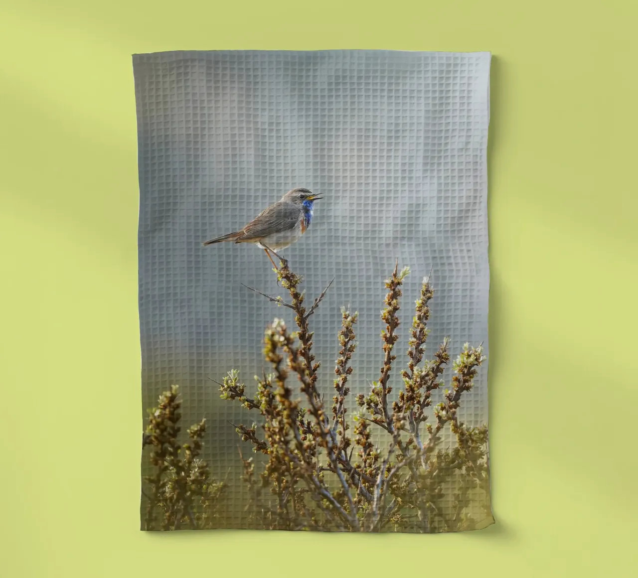 Bluethroat tea towel by Tom's Wildlife