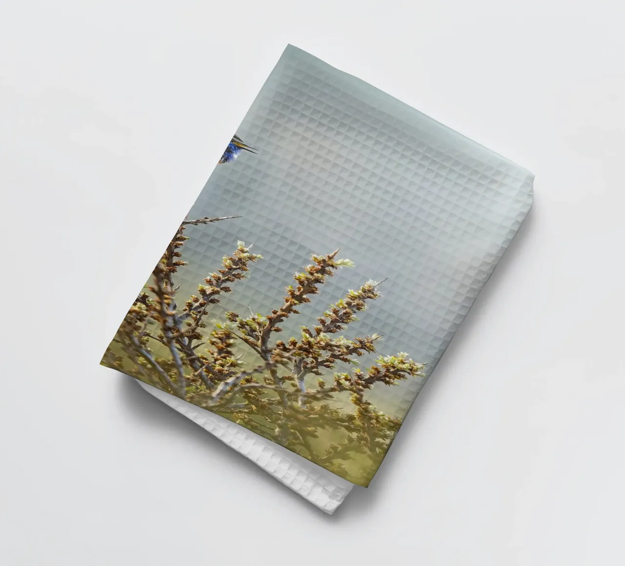 Bluethroat tea towel by Tom's Wildlife