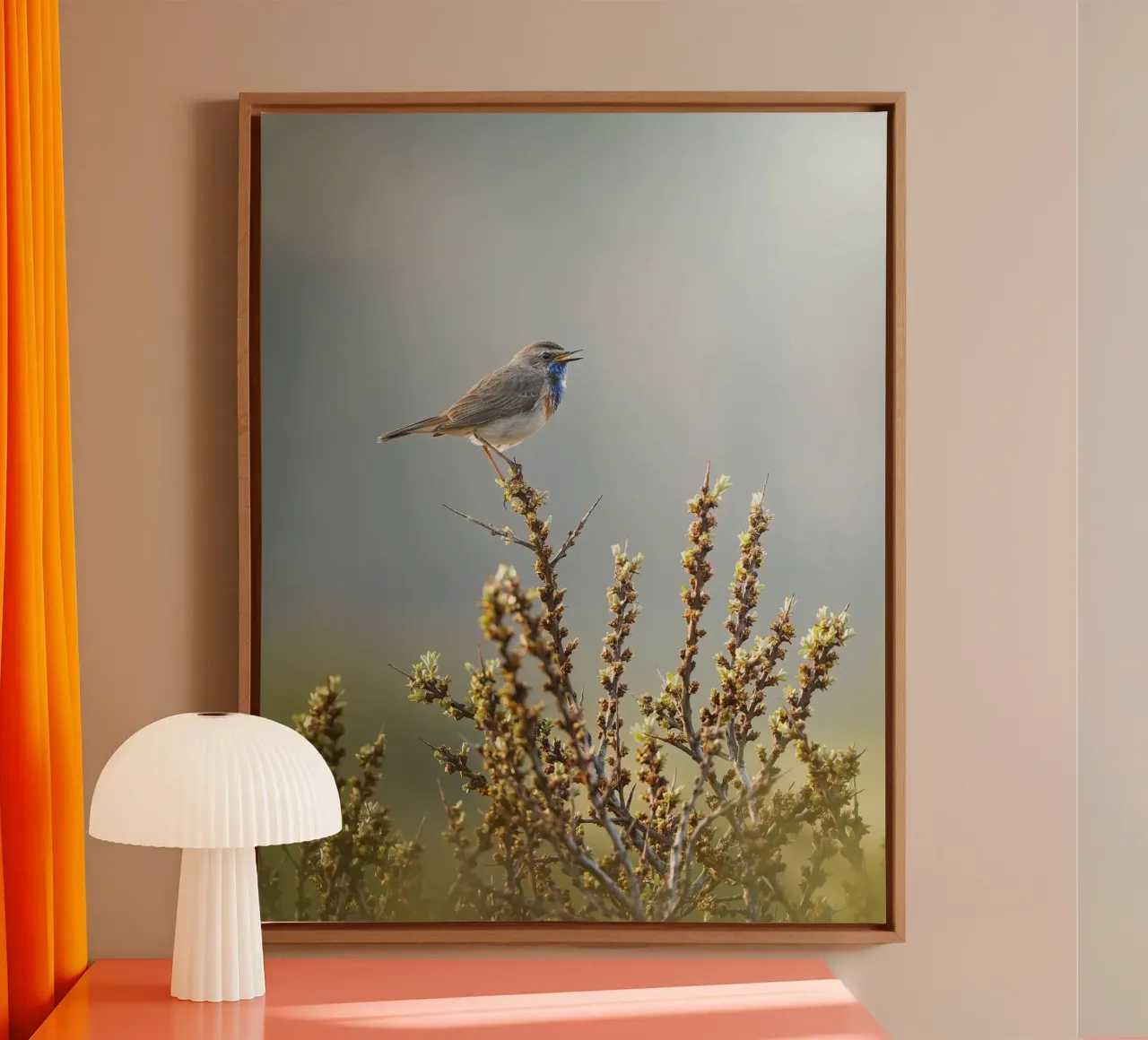 Bluethroat canvas by Tom's Wildlife