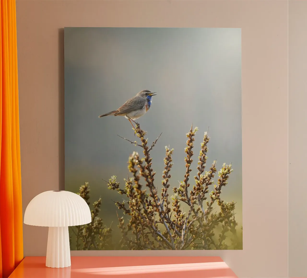 Bluethroat canvas by Tom's Wildlife