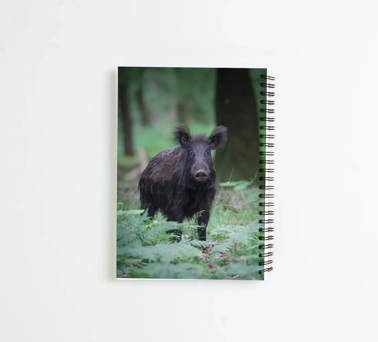 Wild boar spiral notebook by Tom's Wildlife