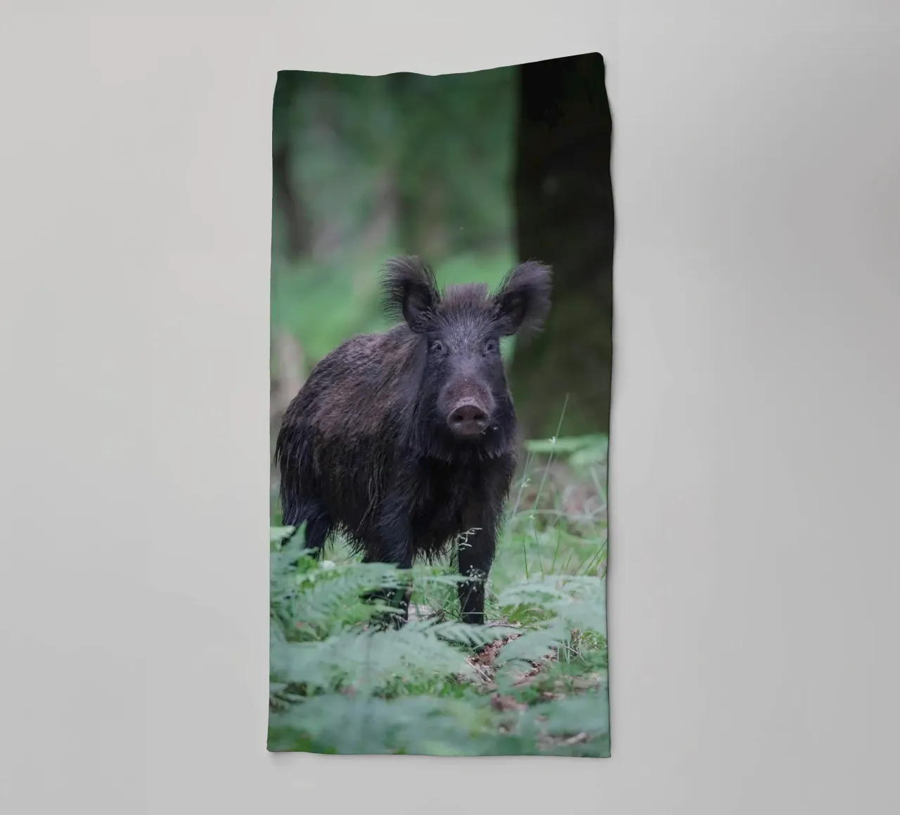 Cinghiale asciugamano da bagno da Tom's Wildlife