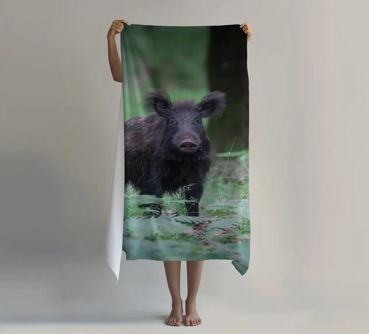 Cinghiale telo mare da Tom's Wildlife