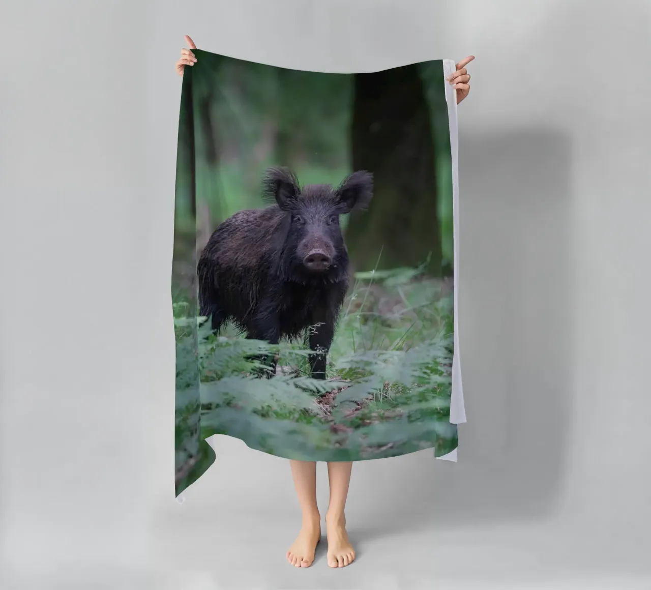 Cinghiale telo mare da Tom's Wildlife