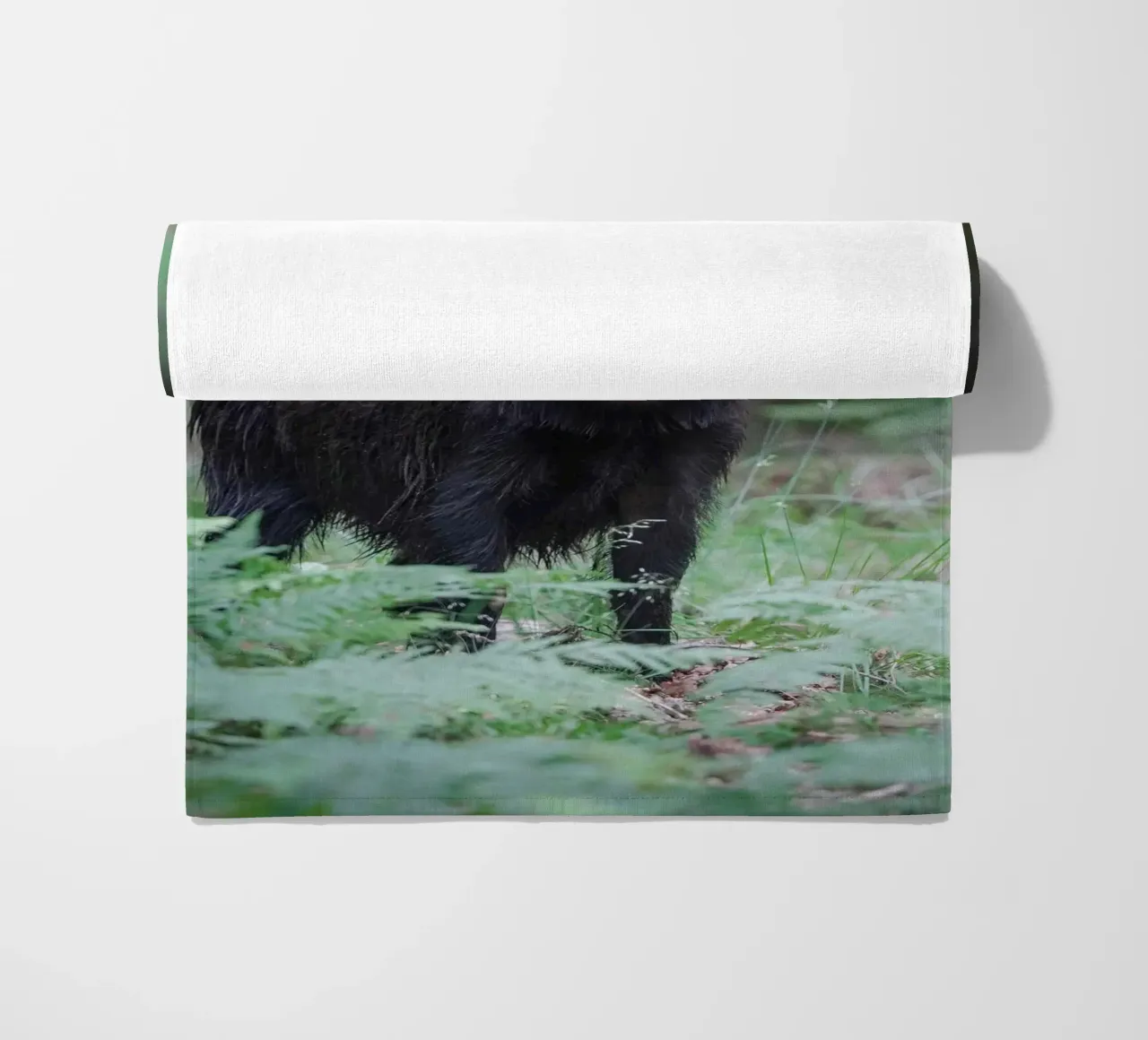 Cinghiale telo mare da Tom's Wildlife