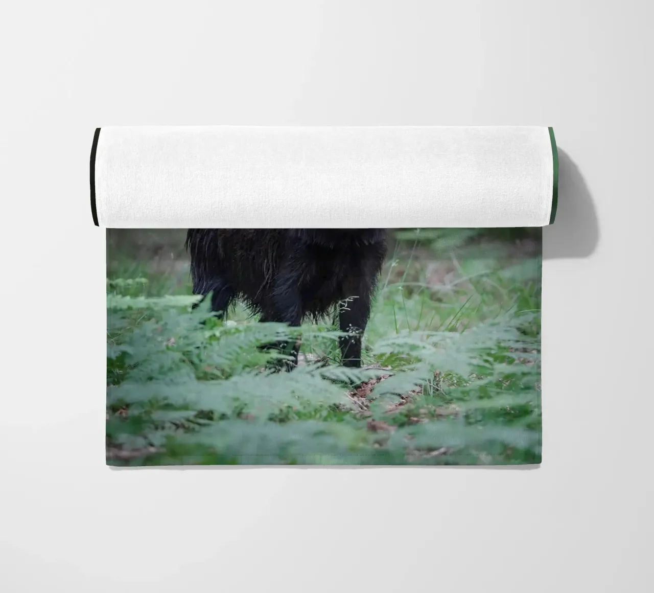 Cinghiale telo mare da Tom's Wildlife