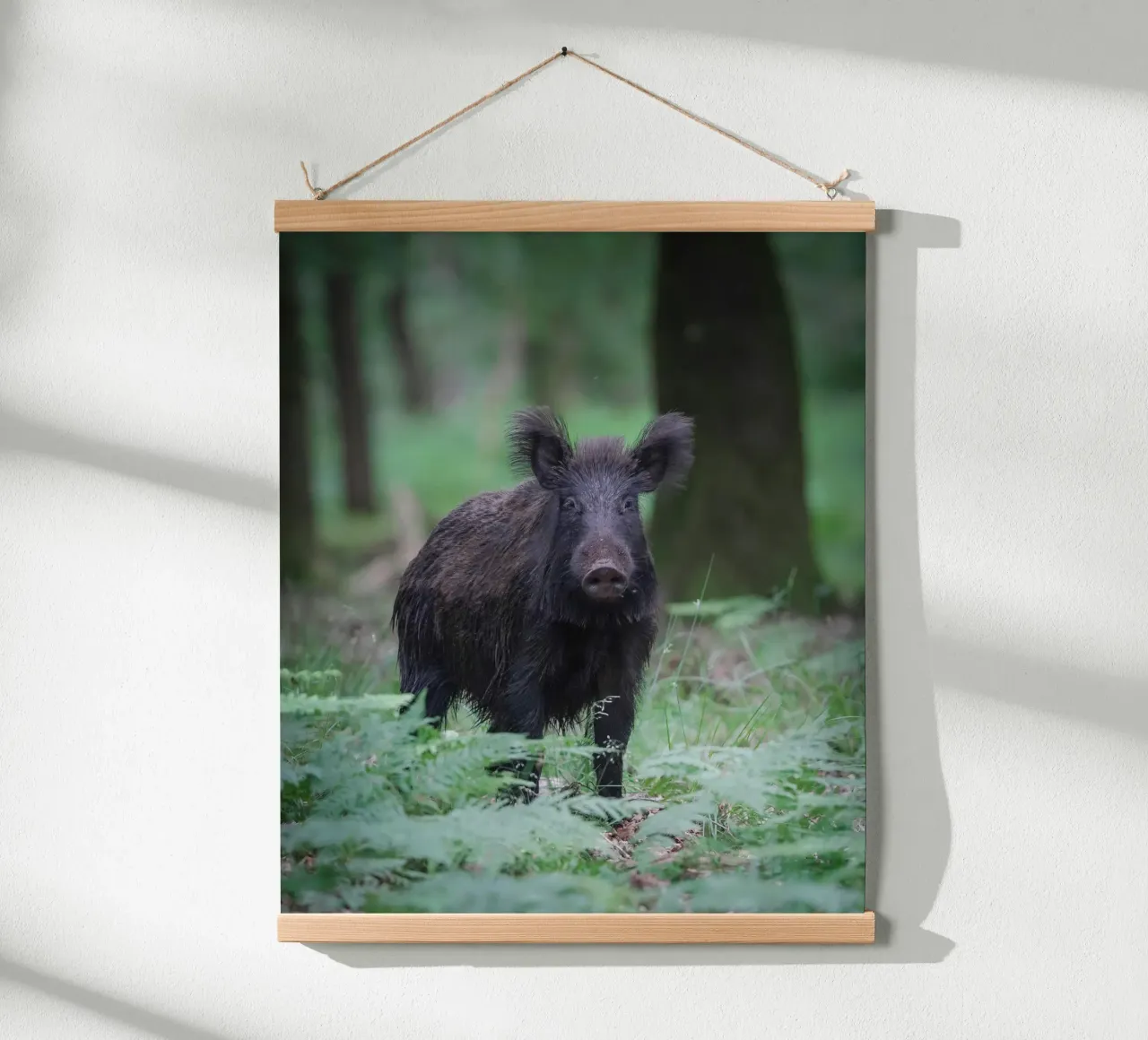 Wild boar hahnemühle by Tom's Wildlife