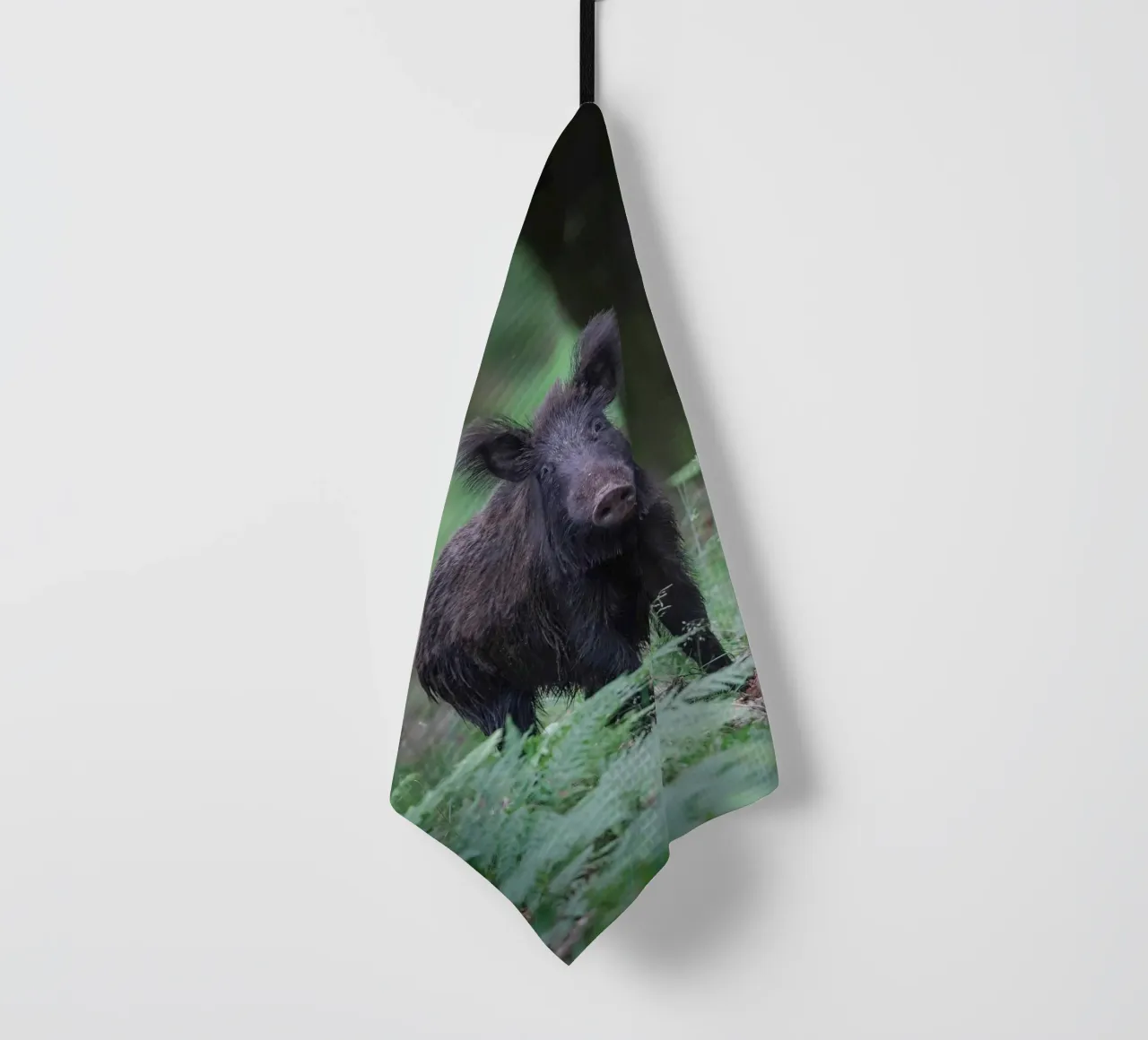 Cinghiale canovaccio da cucina da Tom's Wildlife