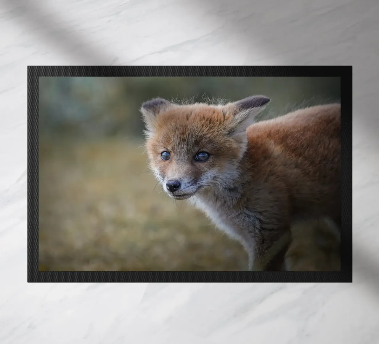 Volpe rossa zerbino da Tom's Wildlife