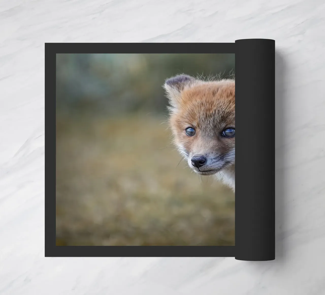 Volpe rossa zerbino da Tom's Wildlife