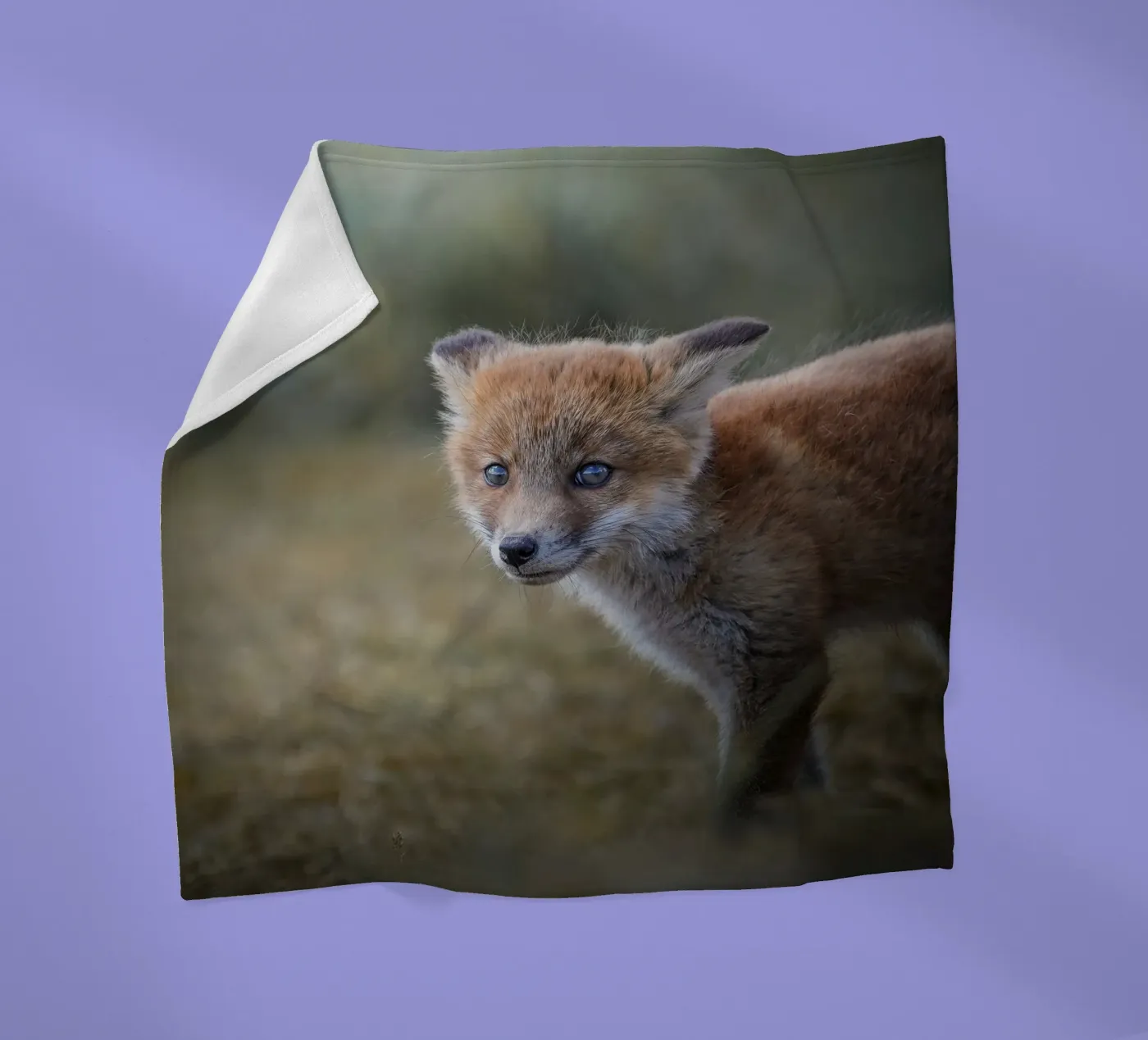 Rotfuchs Fleecedecke von Tom's Wildlife