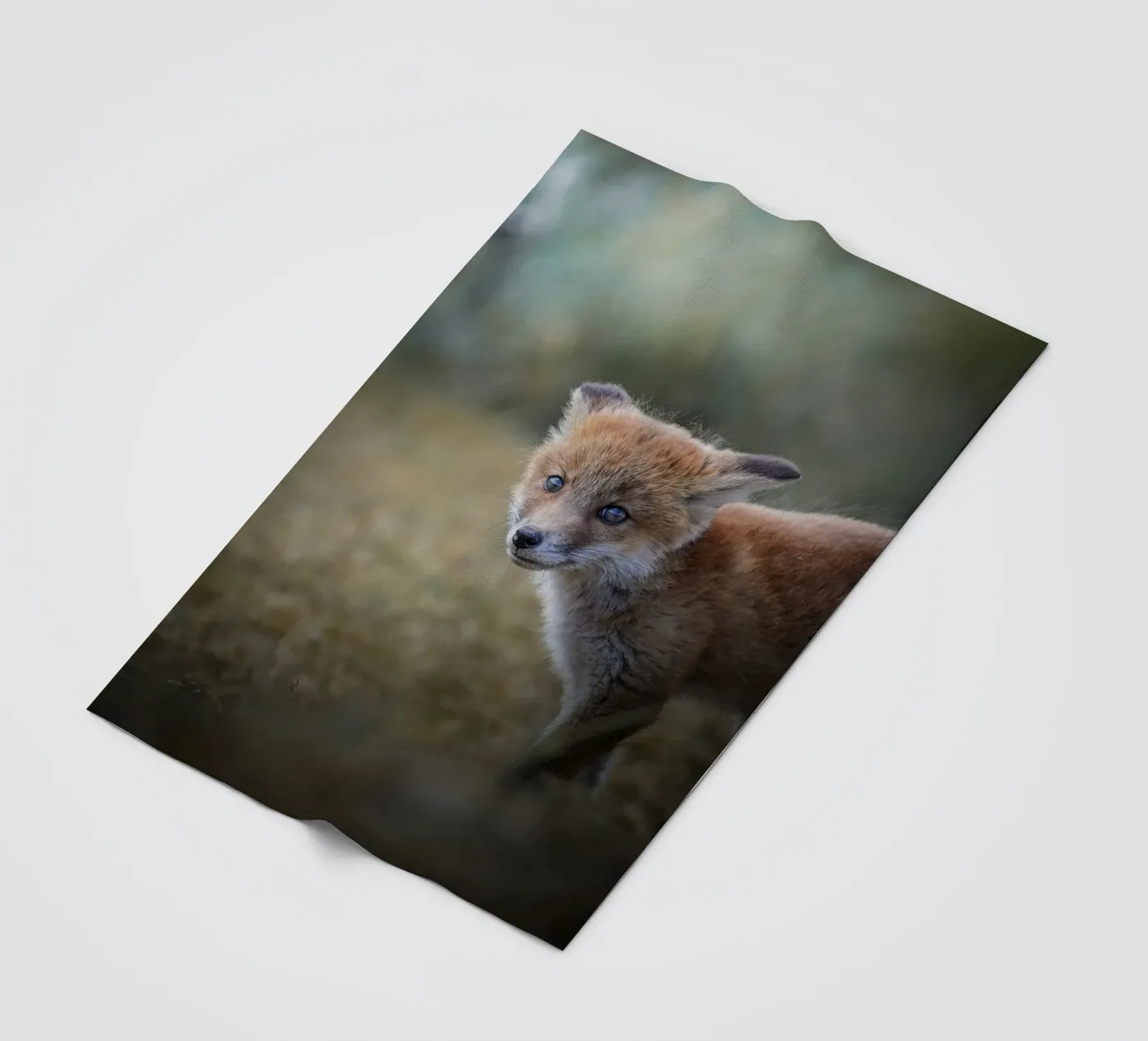 Rotfuchs Fleecedecke von Tom's Wildlife