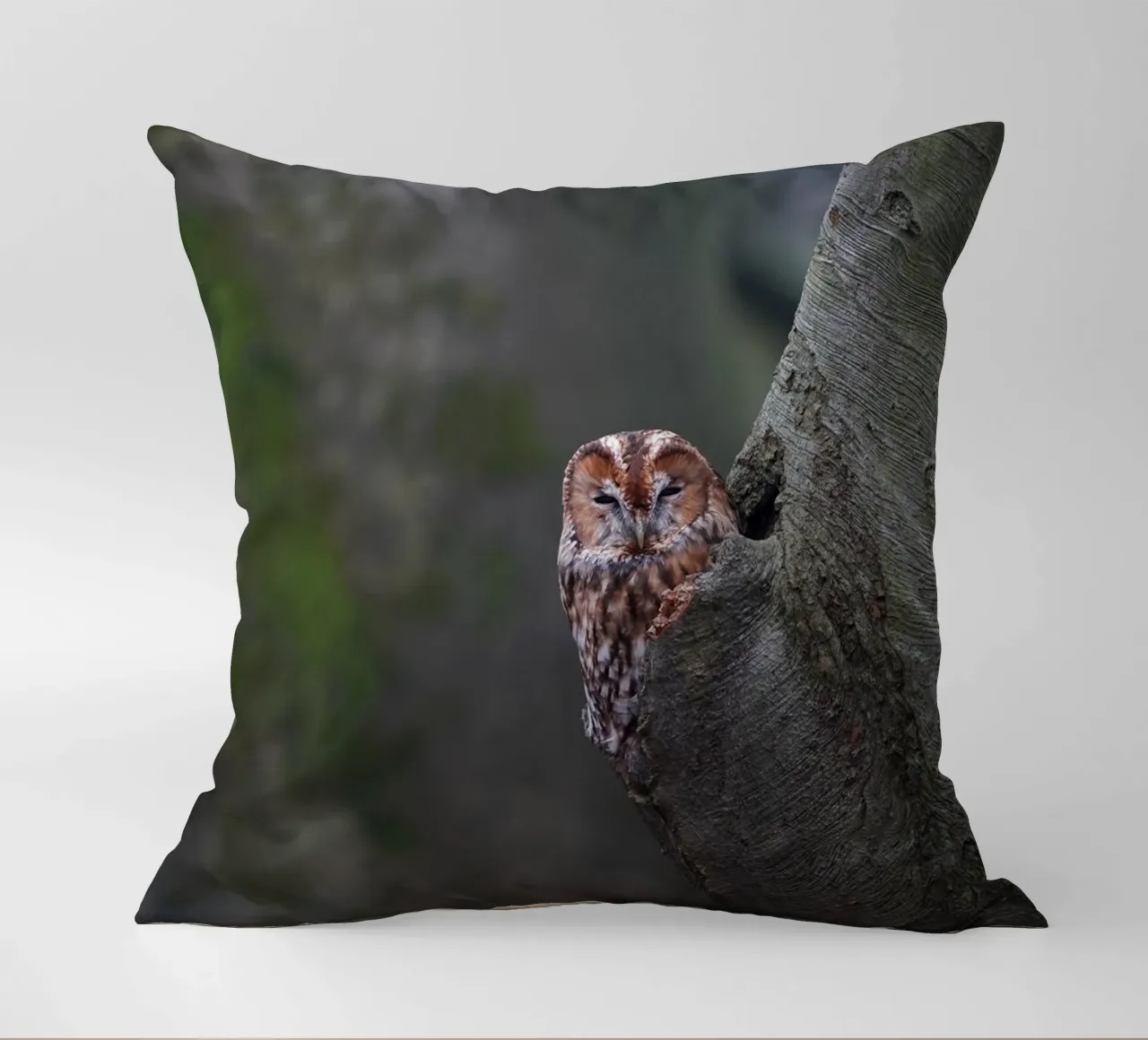 Allocco cuscino da Tom's Wildlife