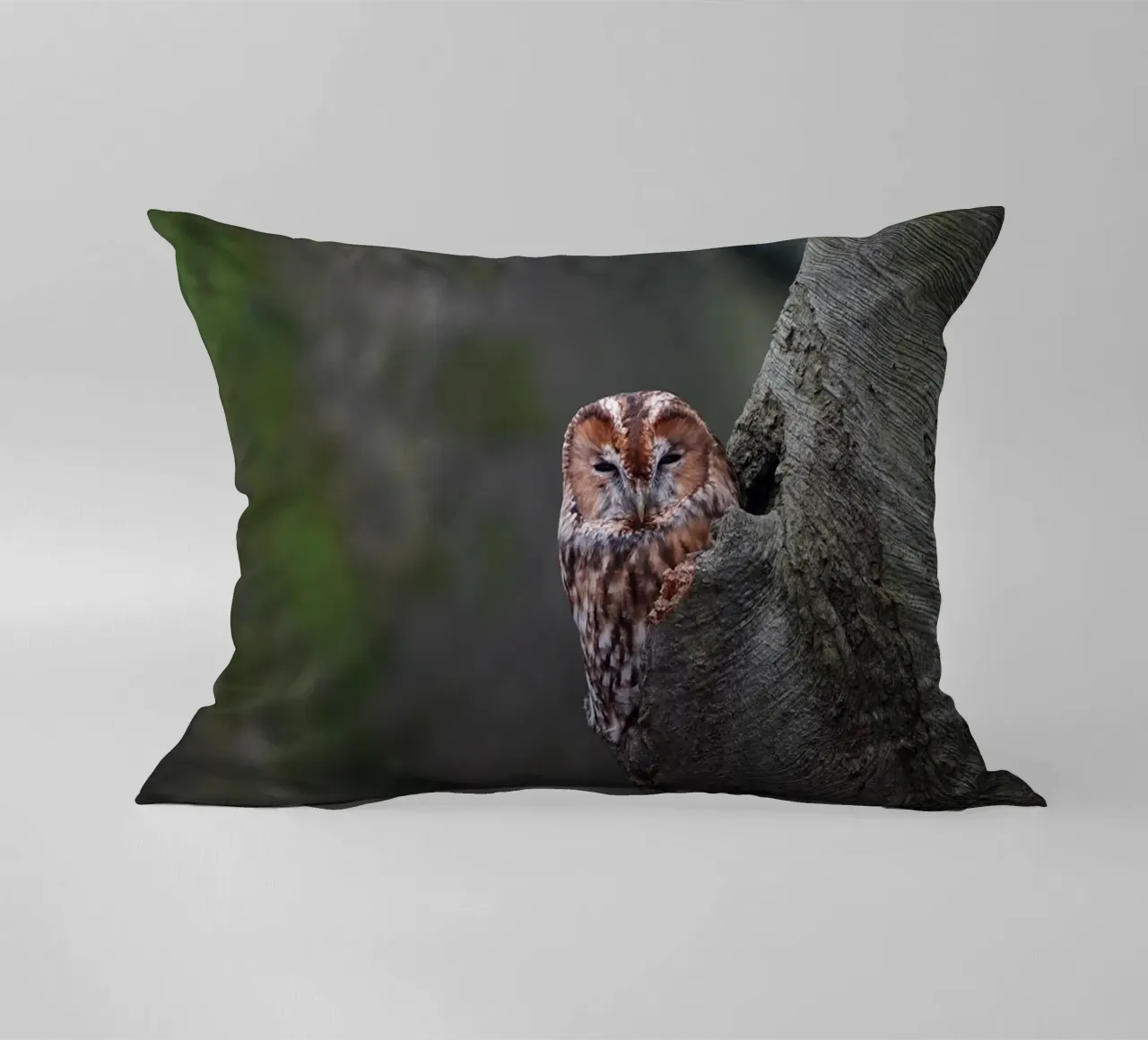 Allocco cuscino da Tom's Wildlife
