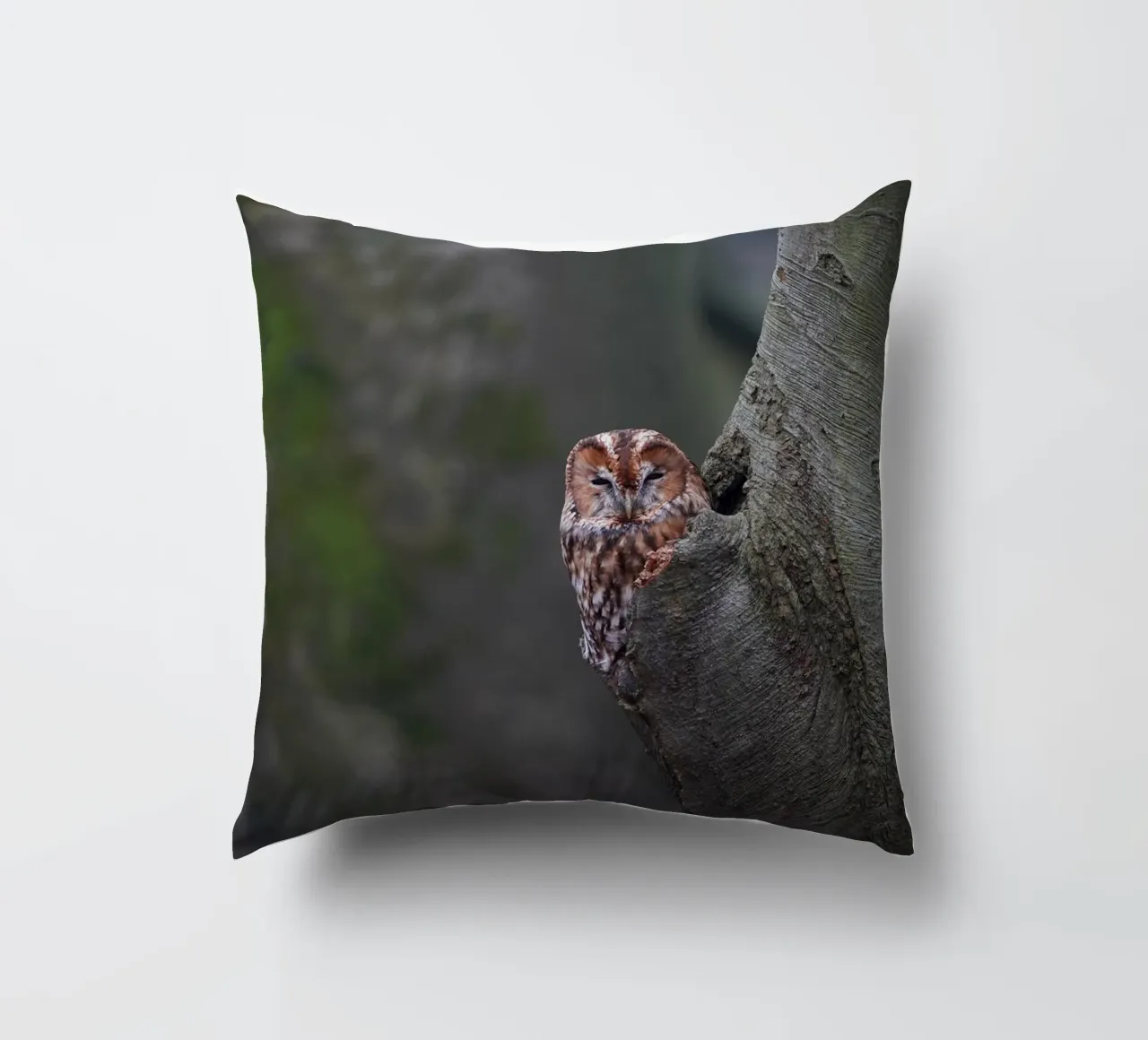 Allocco cuscino da Tom's Wildlife